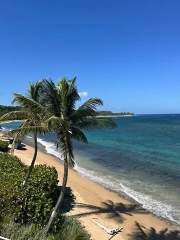Loveshack Villa In Shacks Beach, Isabela Porto Rico